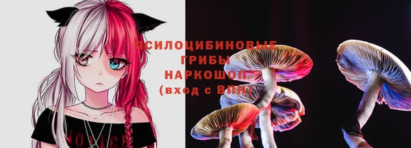 амф Алексин