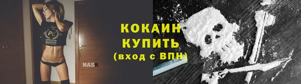 шишки Абаза